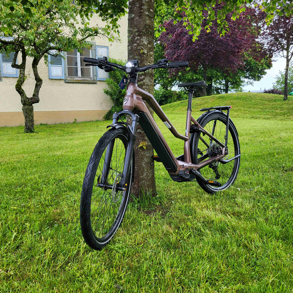 Centurion E-Fire R2000i T merlot 2024 28" 750 (Gr. M,S 625) Wh Trapez